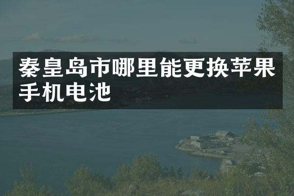 秦皇岛市哪里能更换苹果手机电池