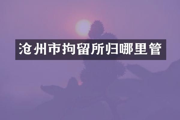 沧州市拘留所归哪里管