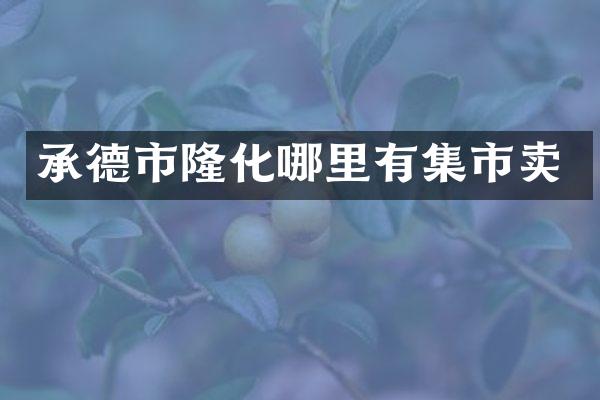 承德市隆化哪里有集市卖