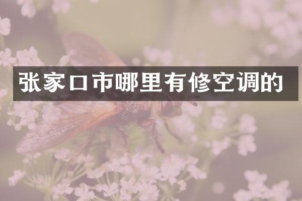 张家口市哪里有修空调的