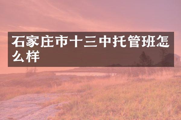 石家庄市十三中托管班怎么样