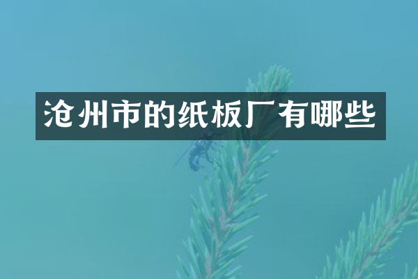沧州市的纸板厂有哪些