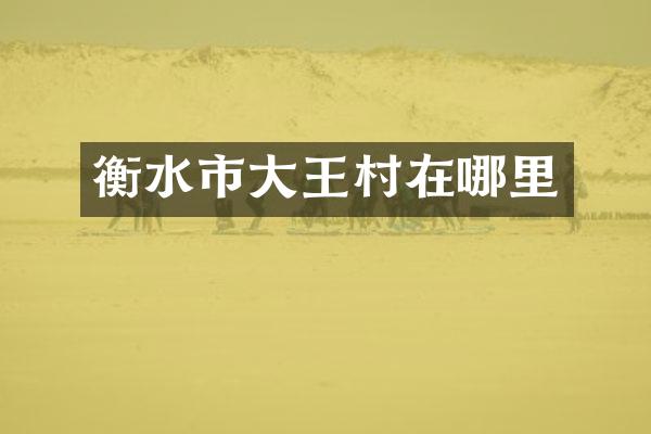 衡水市大王村在哪里