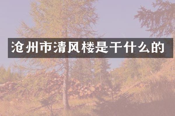 沧州市清风楼是干什么的