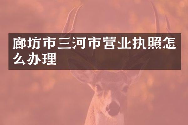 廊坊市三河市营业执照怎么办理