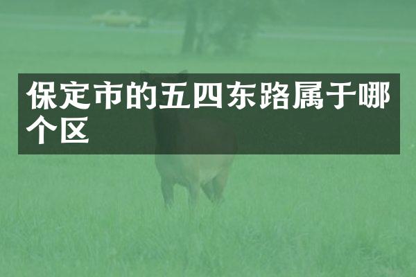 保定市的五四东路属于哪个区