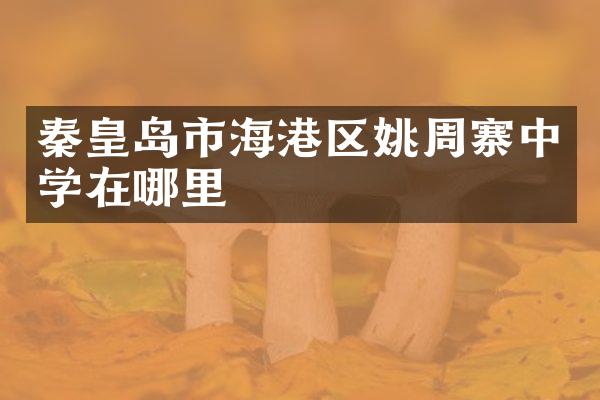 秦皇岛市海港区姚周寨中学在哪里
