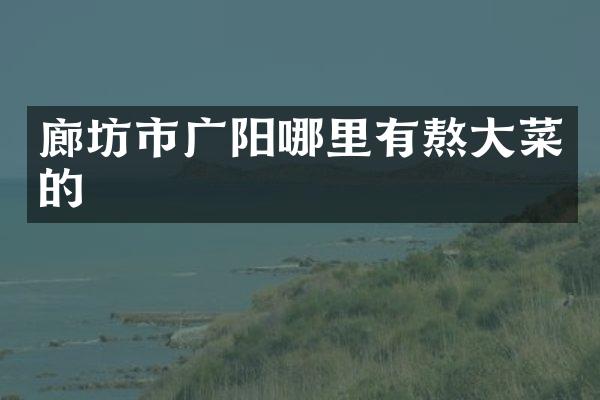 廊坊市广阳哪里有熬大菜的