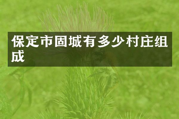 保定市固城有多少村庄组成
