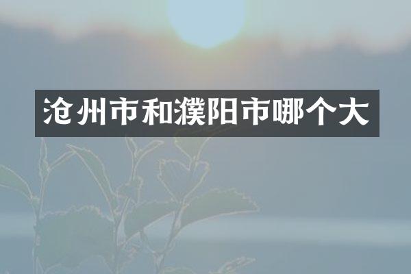 沧州市和濮阳市哪个大