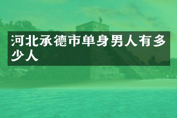河北承德市单身男人有多少人