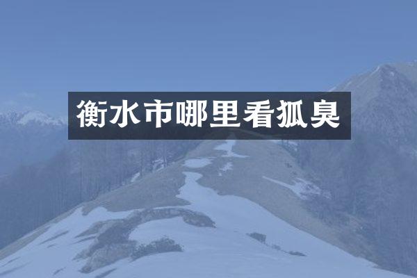 衡水市哪里看狐臭