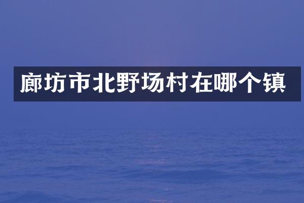 廊坊市北野场村在哪个镇