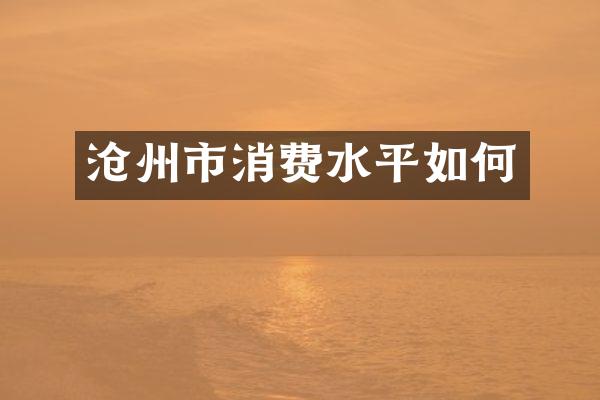 沧州市消费水平如何