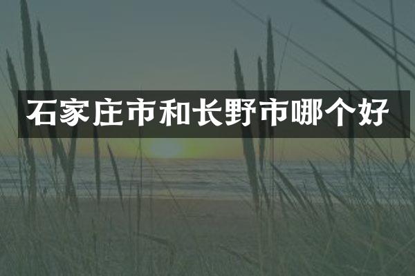 石家庄市和长野市哪个好