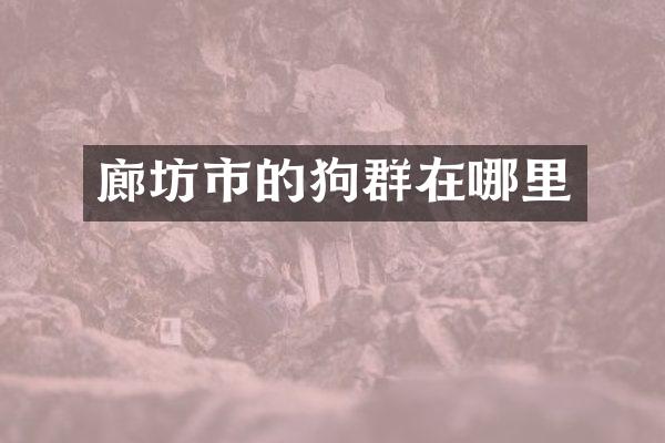 廊坊市的狗群在哪里