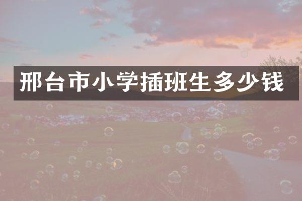 邢台市小学插班生多少钱