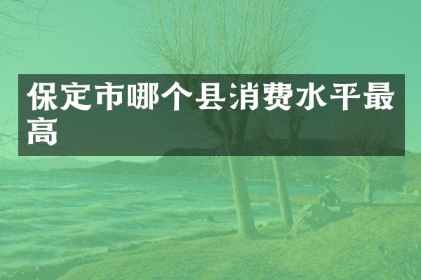 保定市哪个县消费水平最高