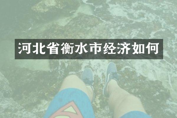 河北省衡水市经济如何