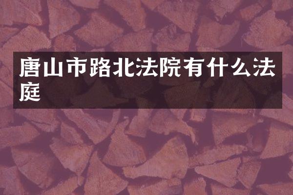 唐山市路北法院有什么法庭