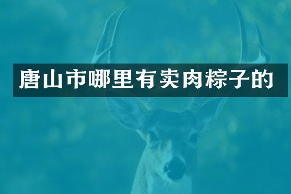 唐山市哪里有卖肉粽子的