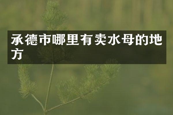承德市哪里有卖水母的地方