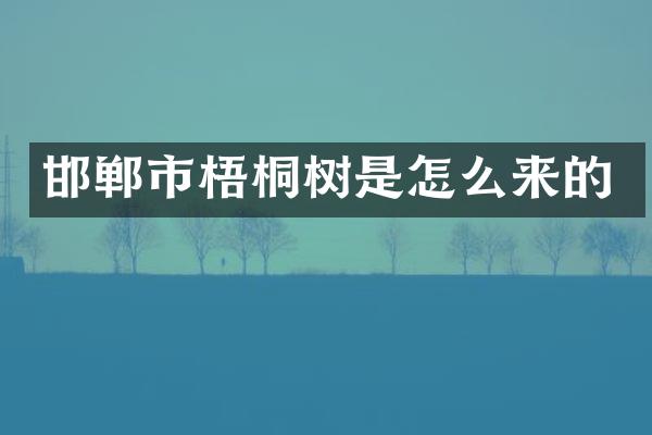 邯郸市梧桐树是怎么来的