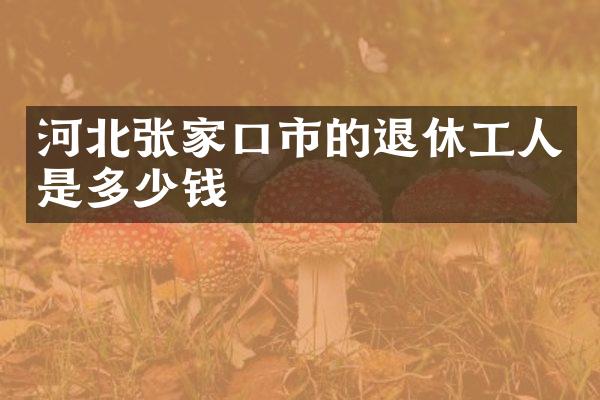 河北张家口市的退休工人是多少钱