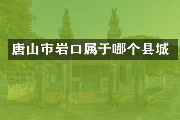 唐山市岩口属于哪个县城