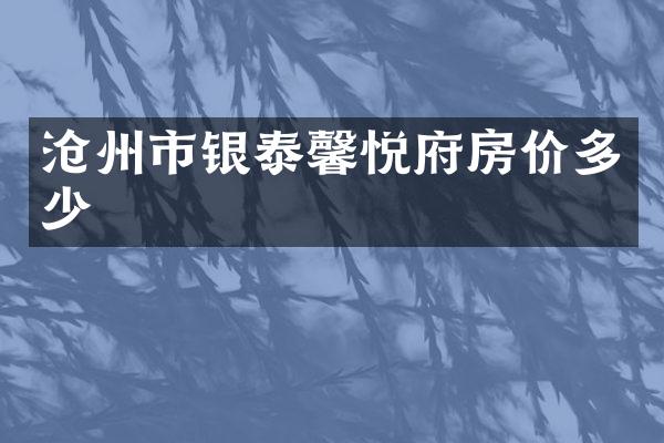 沧州市银泰馨悦府房价多少