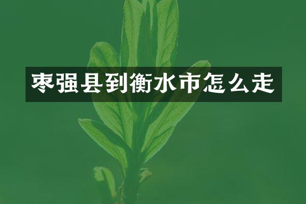枣强县到衡水市怎么走