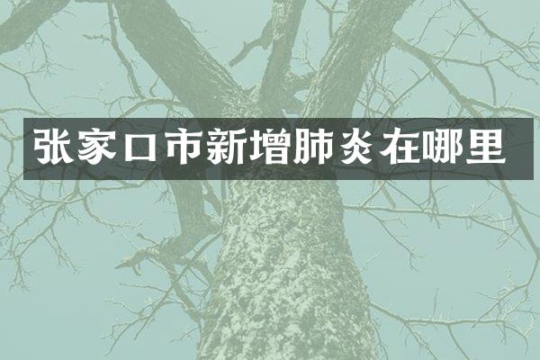 张家口市新增肺炎在哪里