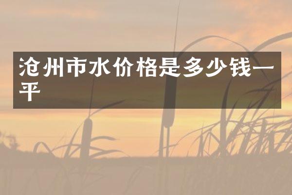 沧州市水价格是多少钱一平