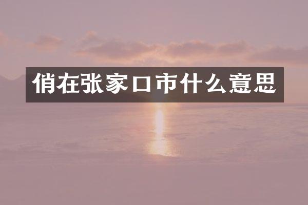 俏在张家口市什么意思