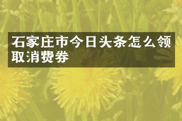 石家庄市今日头条怎么领取消费券