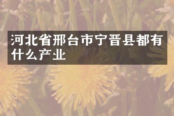 河北省邢台市宁晋县都有什么产业