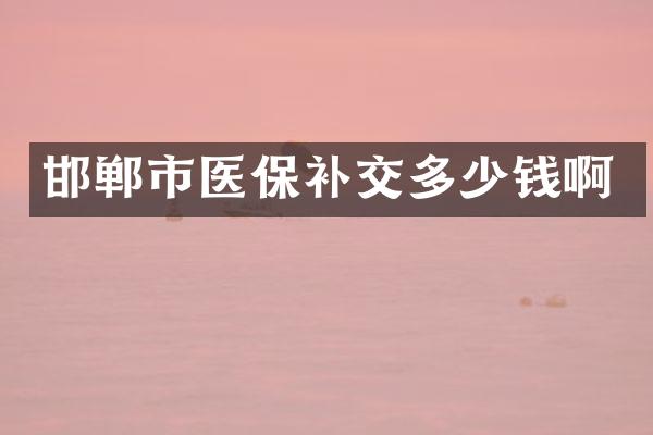 邯郸市医保补交多少钱啊