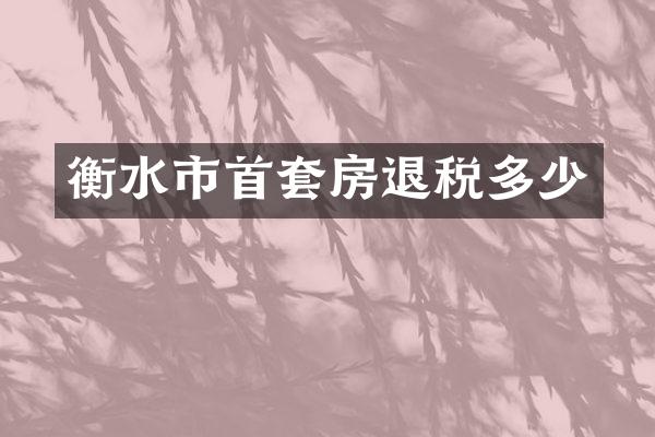 衡水市首套房退税多少