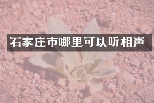 石家庄市哪里可以听相声