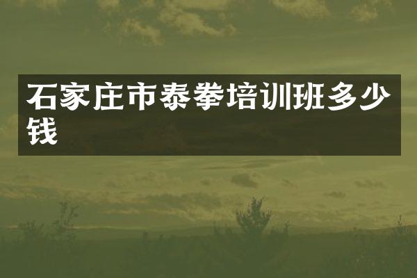 石家庄市泰拳培训班多少钱