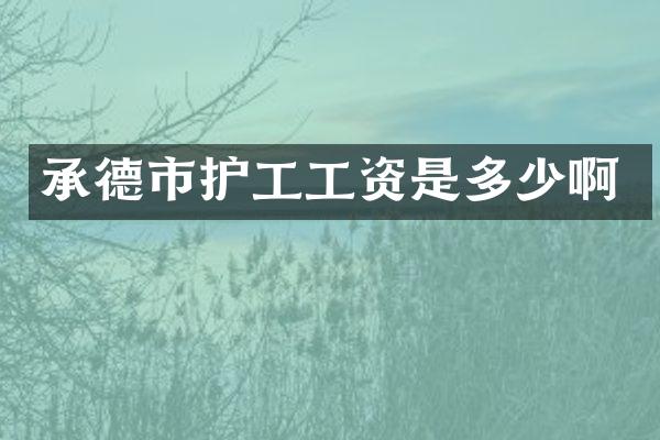承德市护工工资是多少啊