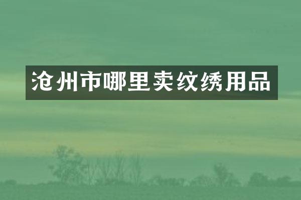 沧州市哪里卖纹绣用品