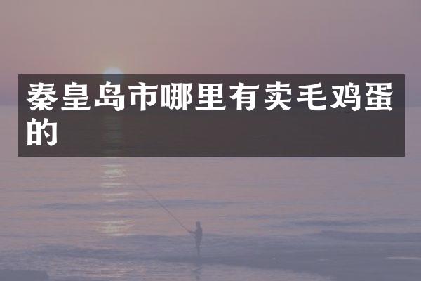 秦皇岛市哪里有卖毛鸡蛋的