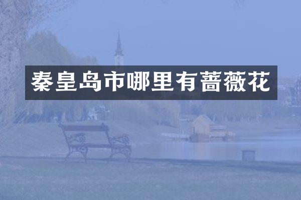 秦皇岛市哪里有蔷薇花