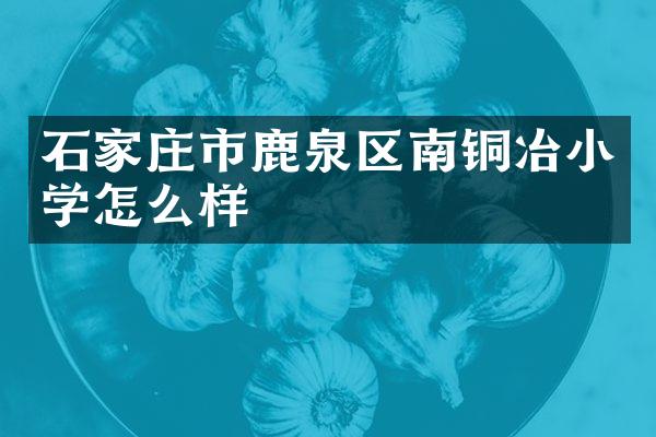 石家庄市鹿泉区南铜冶小学怎么样