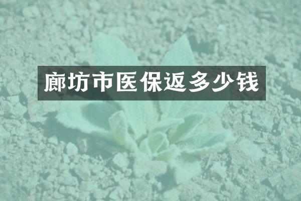 廊坊市医保返多少钱