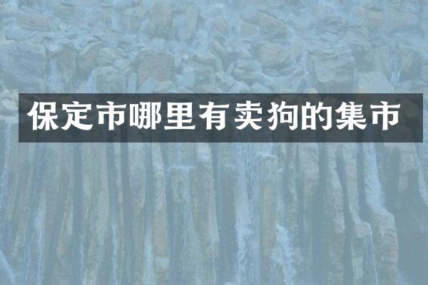 保定市哪里有卖狗的集市
