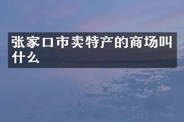 张家口市卖特产的商场叫什么