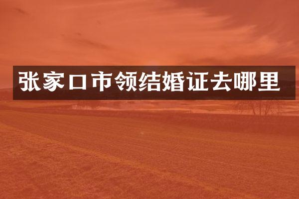 张家口市领结婚证去哪里