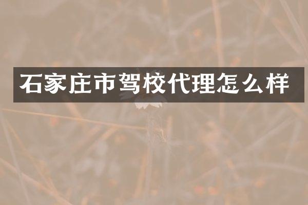 石家庄市驾校代理怎么样